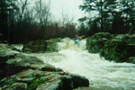 Carver Creek - Chuck McHenry