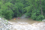 Fishpot Creek - Bryan Lester