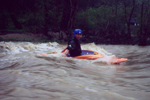 Hinkson Creek - Steve Witzig