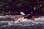 Gans Creek - Steve Witzig
